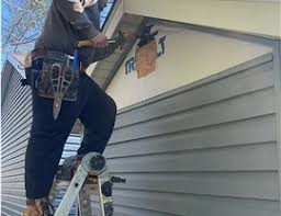 Best Siding Painting and Refinishing  in Monroe, IA